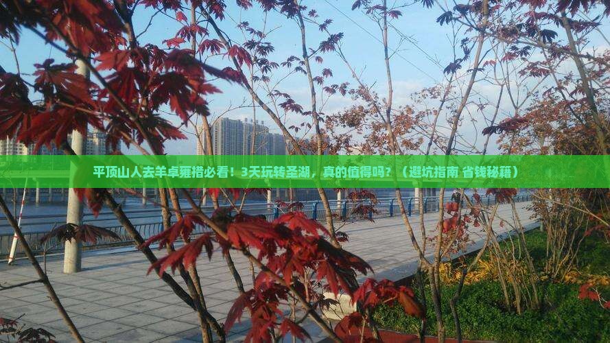平顶山去西藏羊卓雍措旅行社