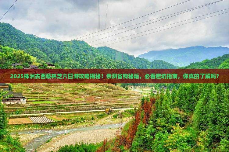 株洲去西藏林芝六日游
