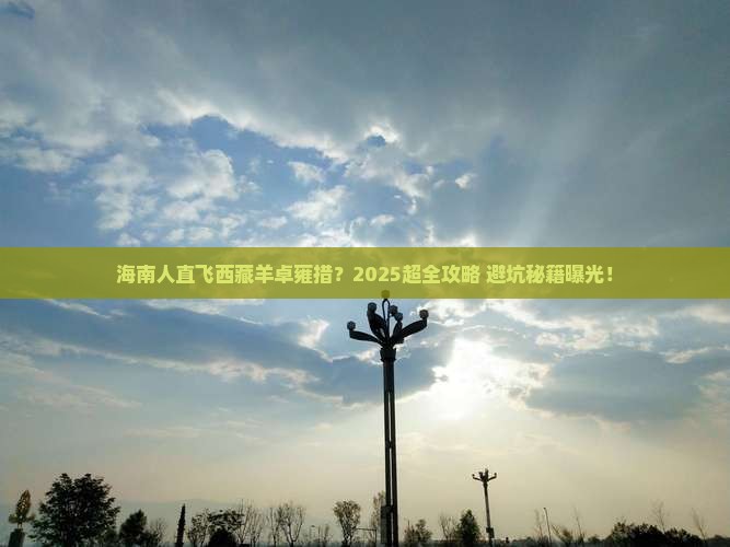 海南省直辖到西藏羊卓雍措大型旅游团