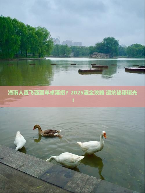 海南省直辖到西藏羊卓雍措大型旅游团