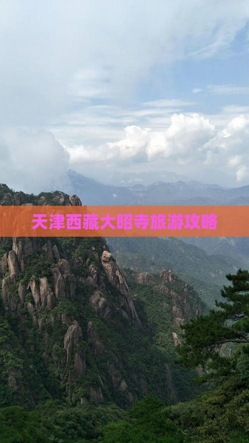 天津去西藏大昭寺哪里玩