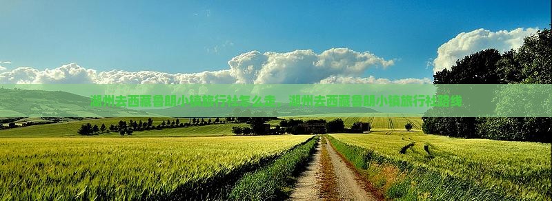 湖州去西藏鲁朗小镇旅行社