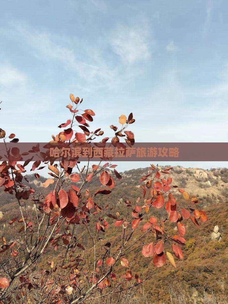 哈尔滨去西藏拉萨景点
