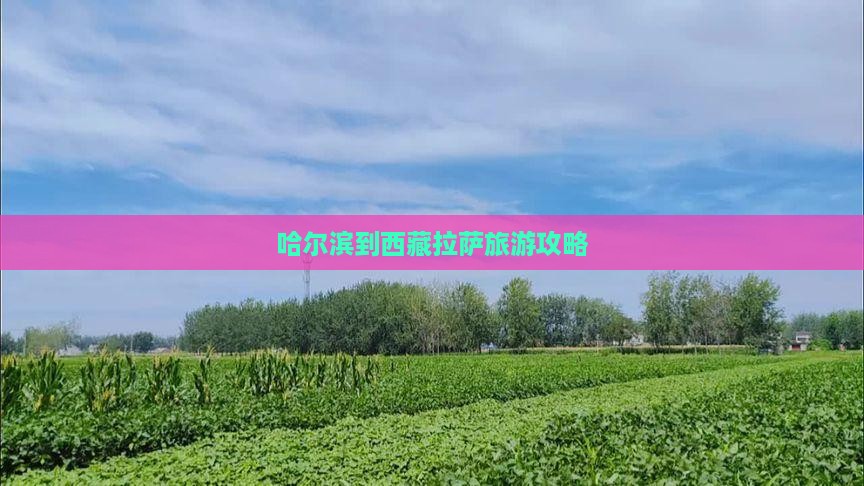 哈尔滨去西藏拉萨景点