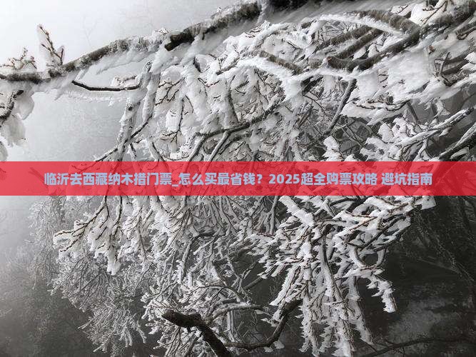 临沂去西藏纳木措门票