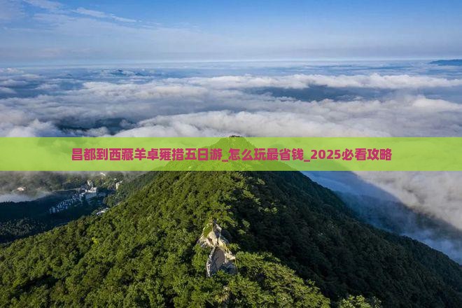 昌都到西藏羊卓雍措五日游