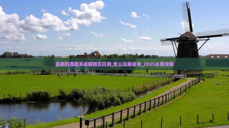 昌都到西藏羊卓雍措五日游