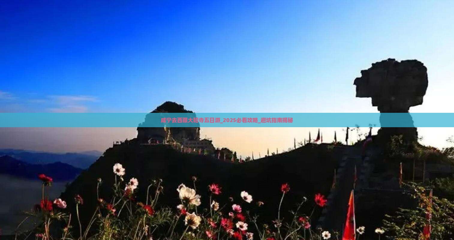 咸宁去西藏大昭寺五日游