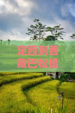 定西到西藏巴松措景点