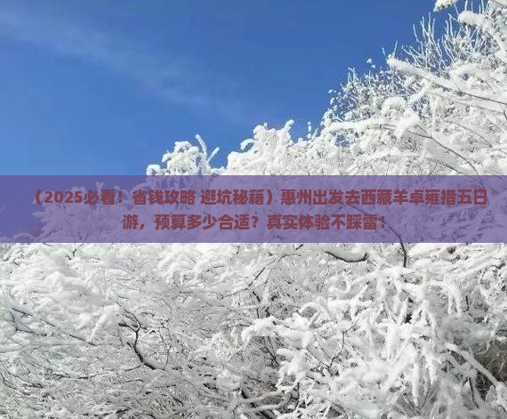 惠州到西藏羊卓雍措五日游