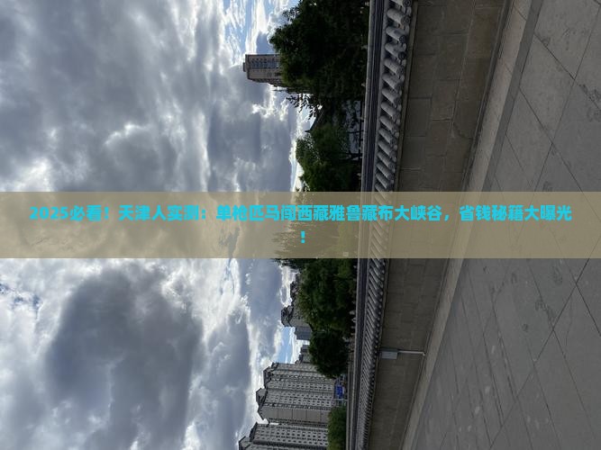 天津去西藏雅鲁藏布大峡谷个人游