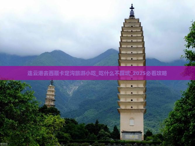 连云港去西藏卡定沟旅游小吃