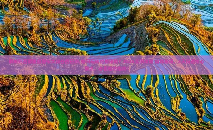 桐城到西藏雅鲁藏布大峡谷四日游