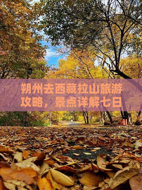 朔州去西藏色季拉山七日游