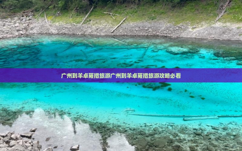 广州到西藏羊卓雍措旅游