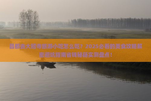 昌都去西藏大昭寺旅游小吃