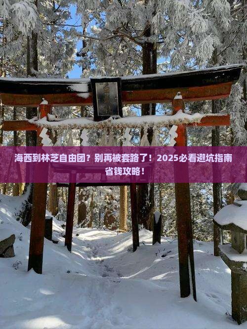 海西到西藏林芝自由团