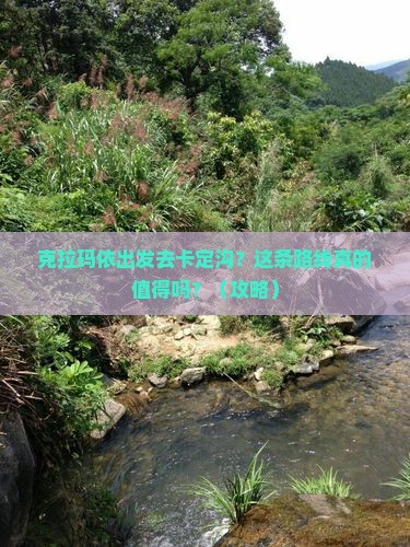 克拉玛依到西藏卡定沟旅行社