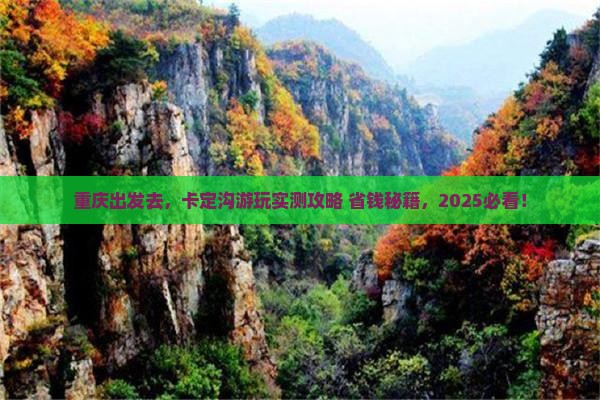 重庆去西藏卡定沟景点