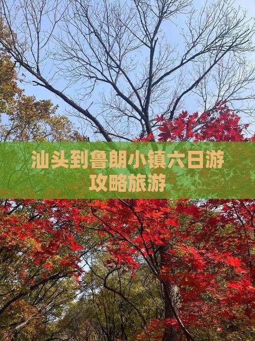 汕头到西藏鲁朗小镇六日游