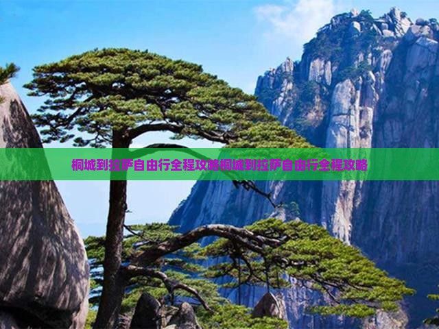 桐城到西藏拉萨自由行