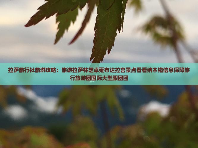 拉萨到西藏大型旅游团