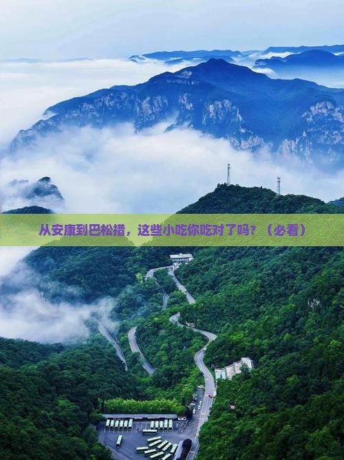 安康到西藏巴松措旅游小吃