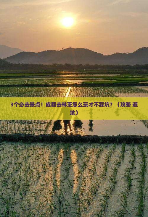 成都去西藏林芝必去地