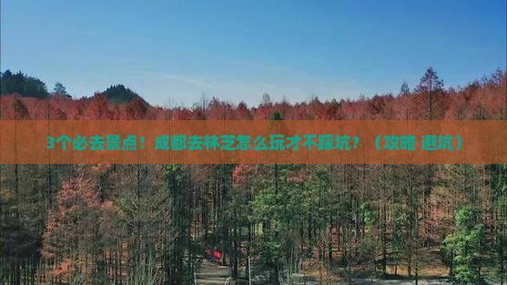成都去西藏林芝必去地