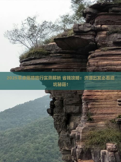 济源去西藏羊卓雍措旅游