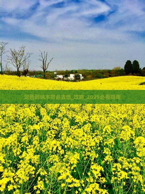 定西到西藏纳木措必去地