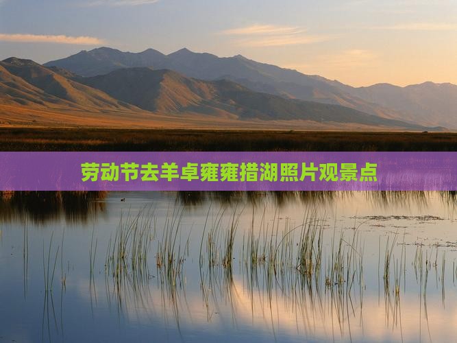 劳动节去西藏羊卓雍措景点