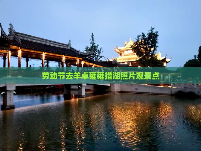 劳动节去西藏羊卓雍措景点