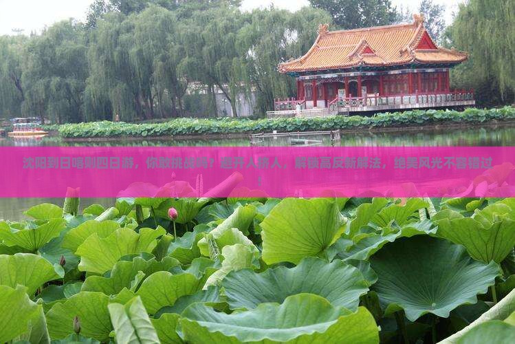 沈阳到西藏日喀则四日游