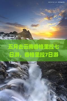 五月去云南香格里拉七日游