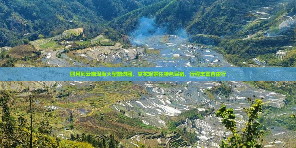 四月到云南洱海大型旅游团