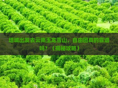 塔城去云南玉龙雪山自由团