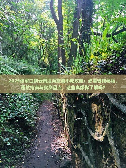 张家口到云南洱海旅游小吃
