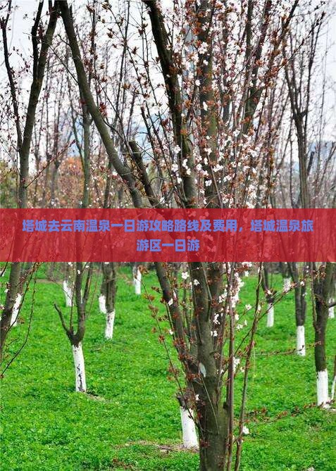 塔城去云南温泉一日