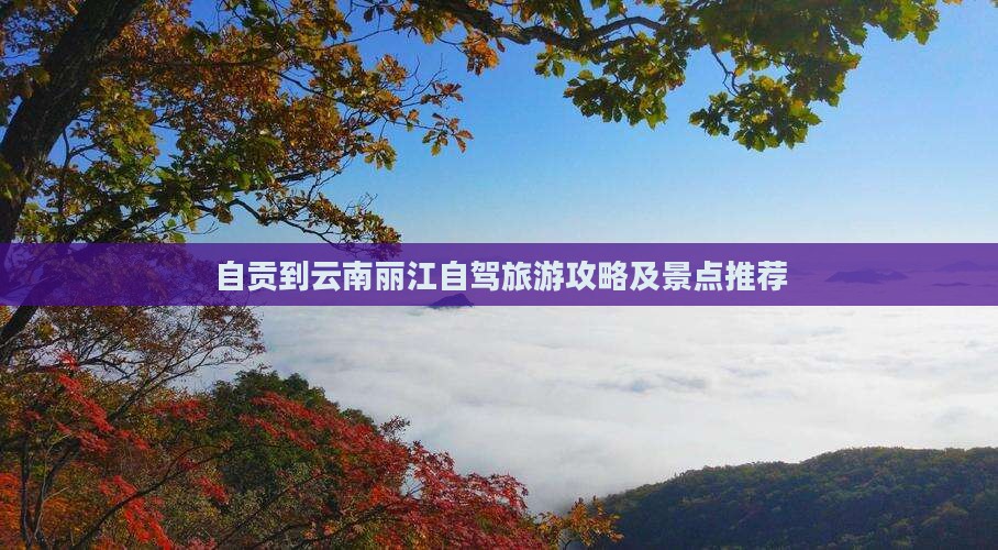 自贡到云南丽江个人游