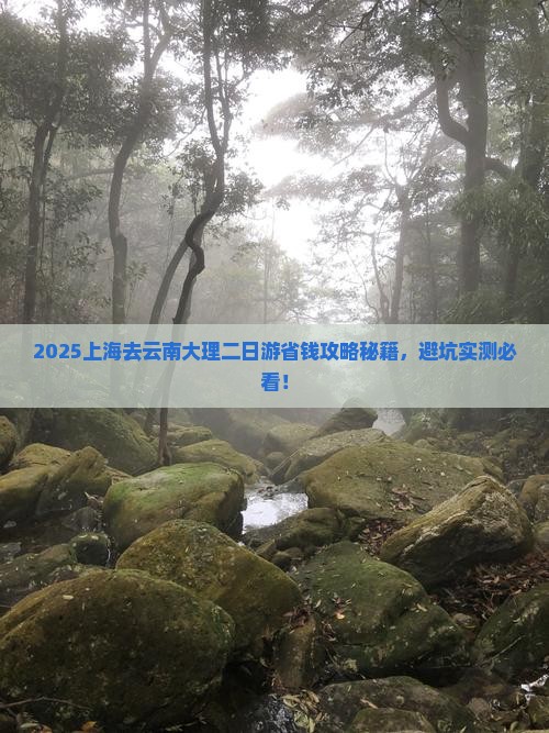 上海去云南大理二日游