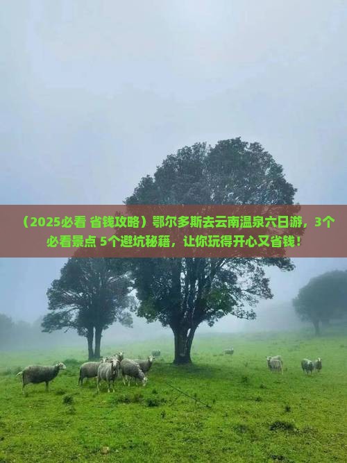 鄂尔多斯去云南温泉六日游