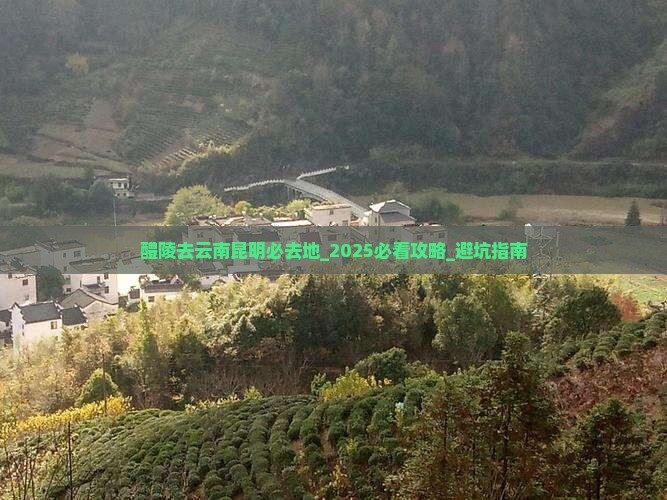 醴陵去云南昆明必去地