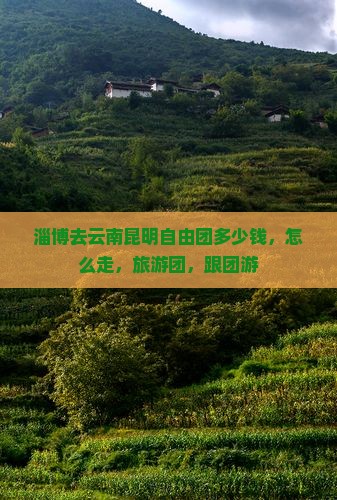 淄博去云南昆明自由团