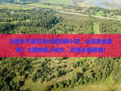 乌鲁木齐去云南大理旅游小吃