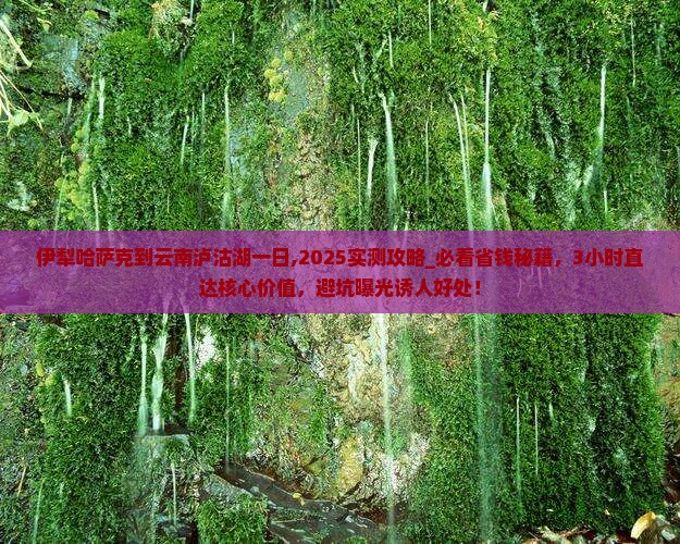 伊犁哈萨克到云南泸沽湖一日