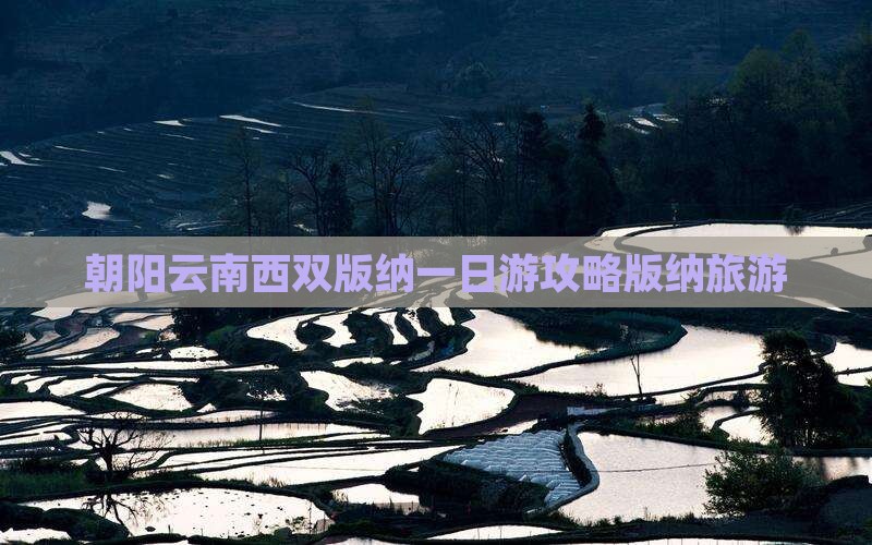 朝阳去云南西双版纳一日