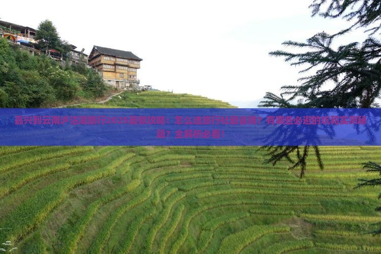 嘉兴到云南泸沽湖旅行社