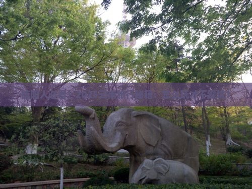 信阳去云南景点