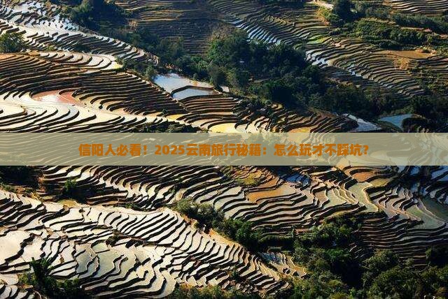 信阳去云南景点